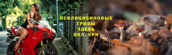 стафф Абинск