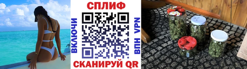 Шишки марихуана планчик  купить наркоту  Шимановск 